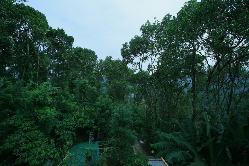 Mount Spring Valley Homestay Теккаді Екстер'єр фото
