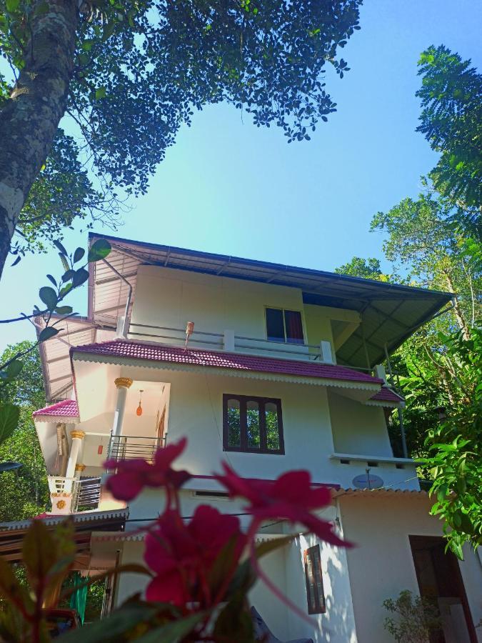 Mount Spring Valley Homestay Теккаді Екстер'єр фото